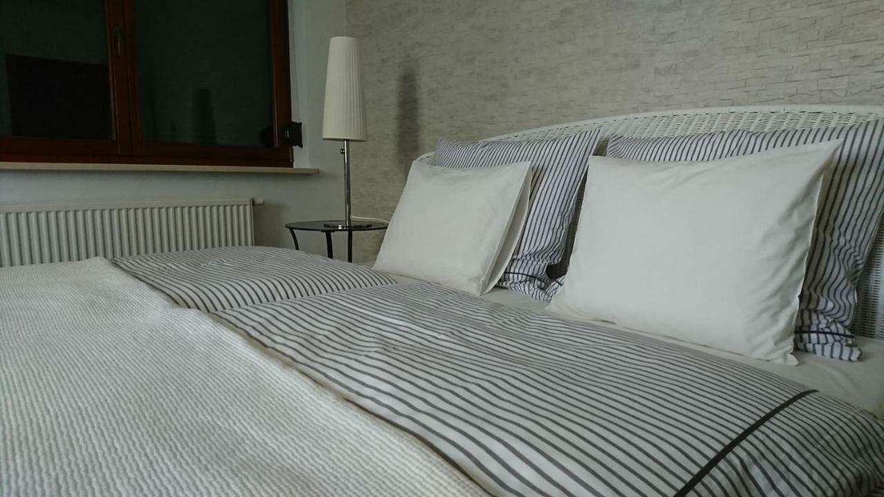 Quiet And Spacious Apartment With Garage Option Краков Экстерьер фото