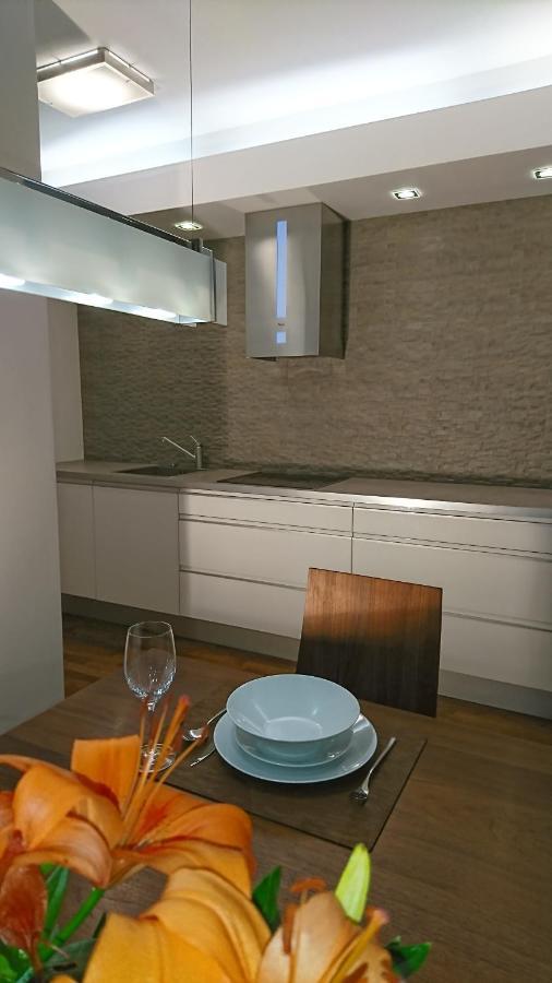 Quiet And Spacious Apartment With Garage Option Краков Экстерьер фото