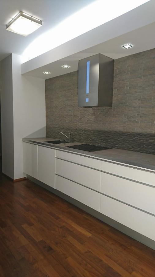 Quiet And Spacious Apartment With Garage Option Краков Экстерьер фото