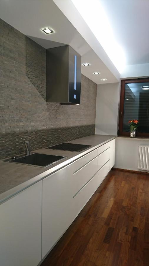 Quiet And Spacious Apartment With Garage Option Краков Экстерьер фото